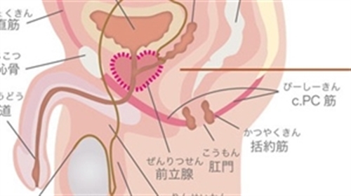 y`gzyjXEARPEuN͋PC؃g