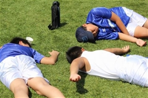 女性のおっぱいはセックスアピール!男性のペニスは同性への誇示