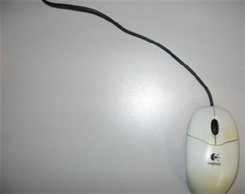 y{ӁzyjX܂Őlwc|̉As܏(傤)