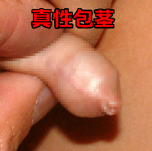 sƁAJyjXɂIŉs6̕@