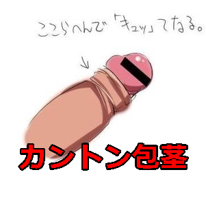 sƁAJyjXɂIŉs6̕@