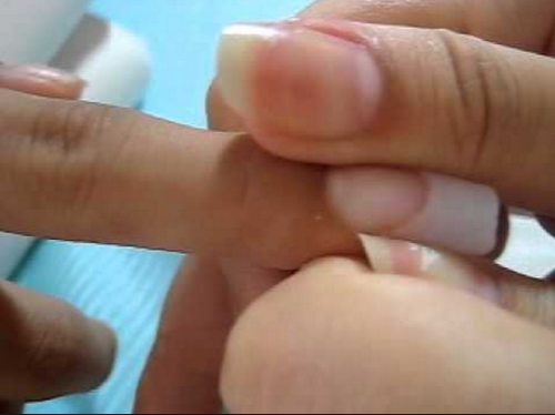 ywŃn[hɁz̉AjENgXӂ߂ŖuNÏ