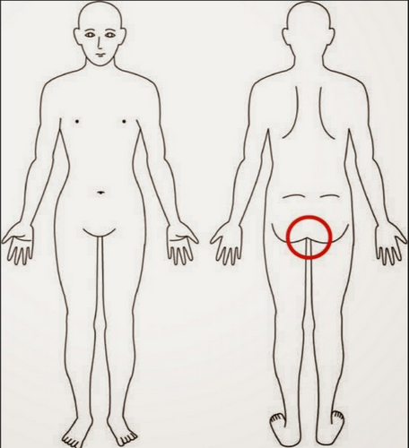 ywŃn[hɁz̉AjENgXӂ߂ŖuNÏ