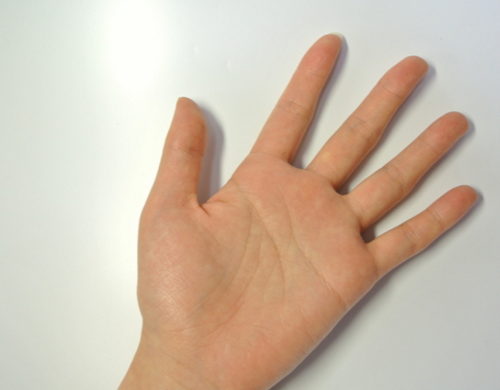 ywŃn[hɁz̉AjENgXӂ߂ŖuNÏ