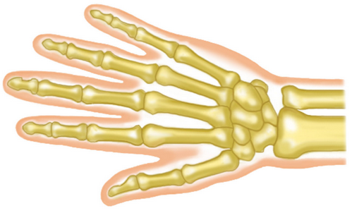 ywŃn[hɁz̉AjENgXӂ߂ŖuNÏ