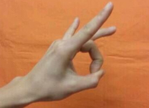 ywŃn[hɁz̉AjENgXӂ߂ŖuNÏ