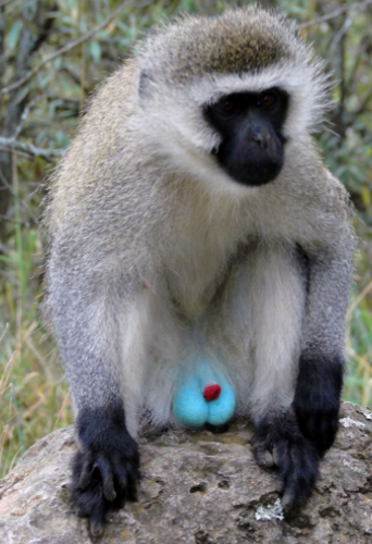 Iij[㋉ҁIȂ̃tBK[eNjbNŃyjXI݂ɂ