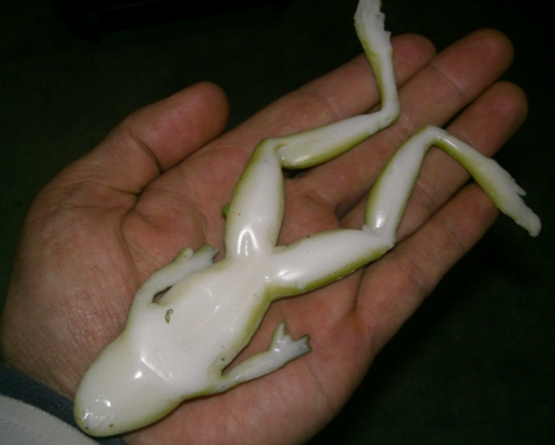 Iij[㋉ҁIȂ̃tBK[eNjbNŃyjXI݂ɂ