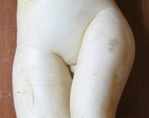 Iij[㋉ҁIȂ̃tBK[eNjbNŃyjXI݂ɂ