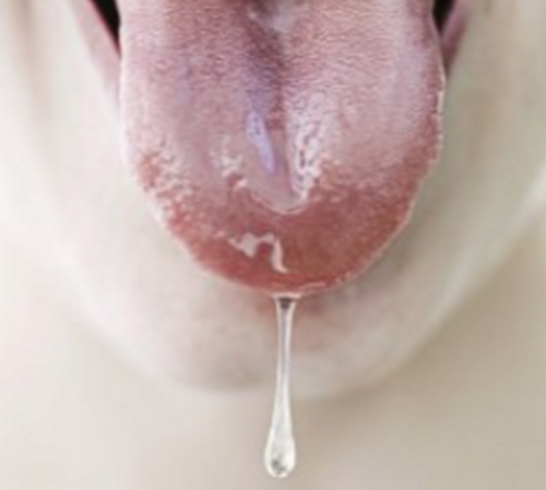 yg̉`z̉AjENgXӂ߂ŖuNÏ