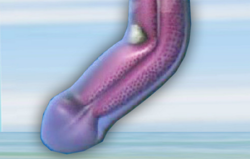 yj[a̎Ö@́HZbNX́HRłHǏ́H