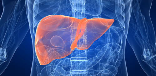 Tvg̕pAAM[́Hʂ̉ߏێ͌