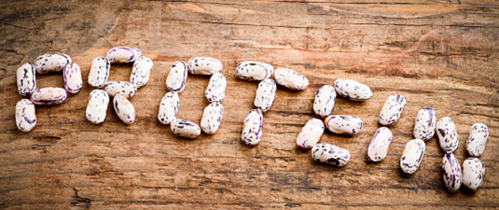 Tvg̕pAAM[́Hʂ̉ߏێ͌